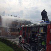 Kühe vor den Flammen aus dem Stall gerettet