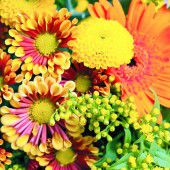 Donnerstag ist immer VN-Schnittblumentag