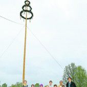 Maibaum für guten Zweck