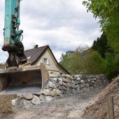 Schutzwall und Waldverjüngung