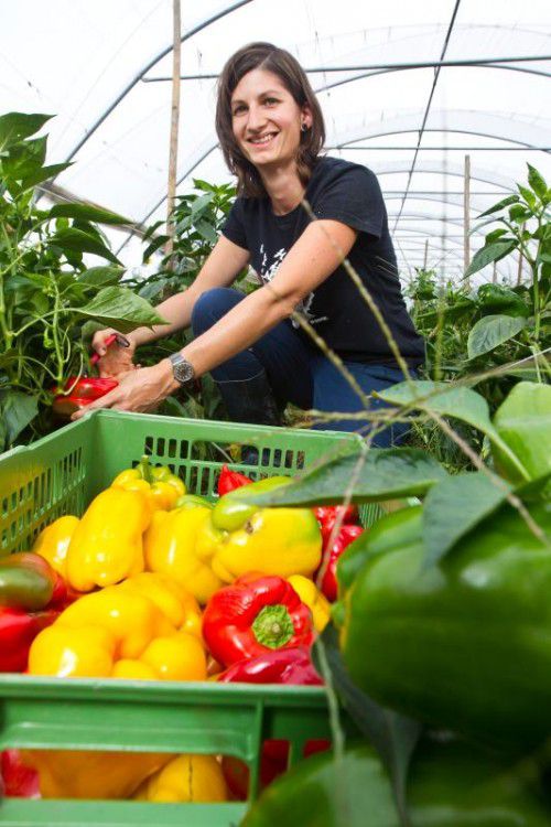 Stolze Vorarlberger Gärtner können ihre Ernte jetzt in den VN präsentieren und etwas gewinnen.