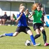 Finale auf der Birkenwiese