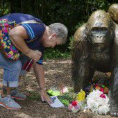 Empörung nach Tod von Gorilla Harambe