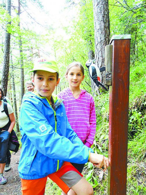 Der Holzspecht kommt bei den Kindern gut an.