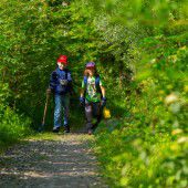 Gute Hege und Pflege für den Wald