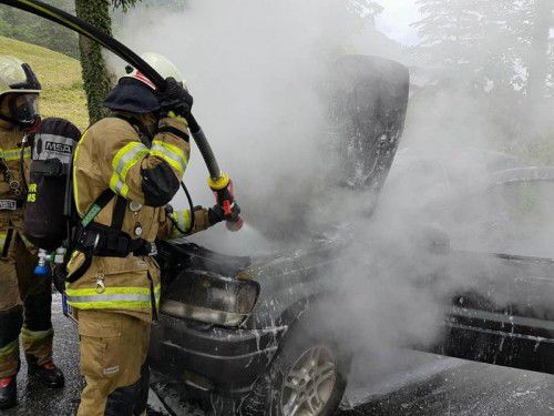 Die Freiwillige Feuerwehr Hohenems war mit drei Fahrzeugen und 25 Mann im Einsatz.