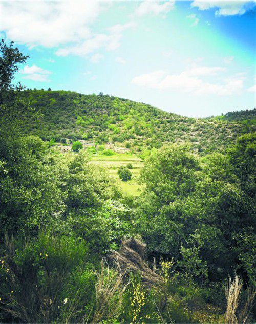Die wildromantische Landschaft der Cévennen hat man bei einer Wanderung mit dem Esel die meiste Zeit für sich alleine.
