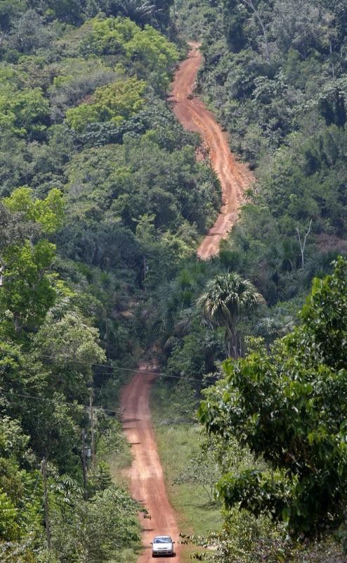 Der Amazonas-Regenwald speichert erhebliche Mengen des Treibhausgases CO2. Zu starke Abholzung gefährdet das Weltklima und die Artenvielfalt. afp