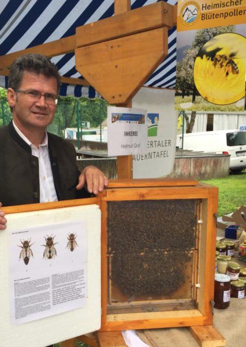 Helmut Grafs Bienenschaukasten: So wird Gemeinschaft gelebt.