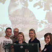 Leid für Streunerkatzen vermeiden
