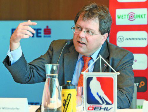 Regiert neu im Eishockeyverband: Gernot Mitterndorfer.