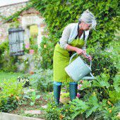 Wie viel Wasser für den Garten braucht es?