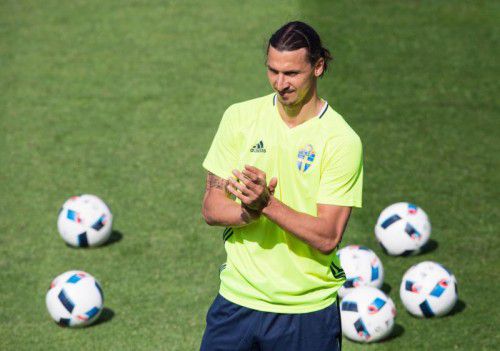 Zlatan Ibrahimovic soll seine Schweden gegen Irland zum Sieg führen.