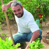 Helfen soll wieder erlaubt sein