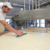 Gelebtes Miteinander von Tourismus und Alpwirtschaft in Ländle-Qualität