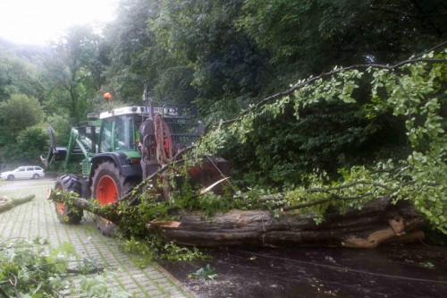 Am Pfänderhang kommt es immer wieder zu Hangrutschungen.