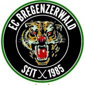 Neuer Auftritt der Wälder