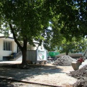 Ein Schulhof wird schöner