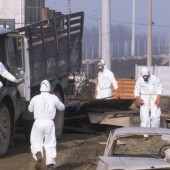 Seveso erinnert an den fatalen Dioxin-Unfall