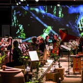 Wohlfühlkonzert im Montforthaus