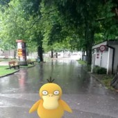 Arbö warnt vor Pokémon im Straßenverkehr