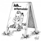 Wahlwiederholungs-Nervensache!