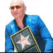 Ein Stern für Rapper Pitbull