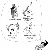 Kern-Steuer-Ideen!