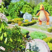 Pokémons auf Ländle-Friedhöfen