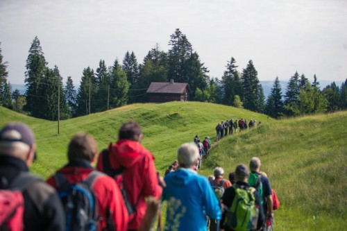 Für die VKW-Wanderer ging es durch Wald und Flur und über Stock und Stein.