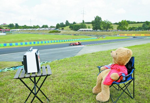 In Zeiten von Pokémon muss es Teddybären erlaubt sein, das Geschehen von Kimi Räikkönen und Co. in der Formel 1 zu verfolgen.