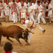 Vier Verletzte bei Stierhatz