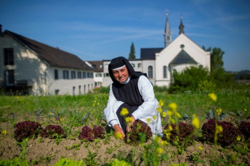 Schwester Cordula liebt ihre Arbeit in und mit der Natur. „Es ist schön, alles wachsen und reifen zu sehen.“