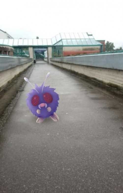 Sie sieht der Handybildschirm aus, wenn Menschen wilde Pokémon-Figuren fangen, um sie zu trainieren und gegeneinander antreten lassen.