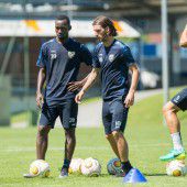 Altach holt Kamerun-Stürmer
