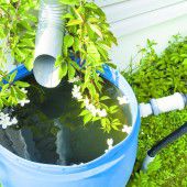 Mit dem Regenwassertank Geld und Trinkwasser sparen