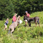 Junge Sommerfrischler auf der Alpe Agtenwald