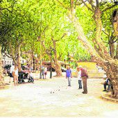 Boule spielen am Place des Lices