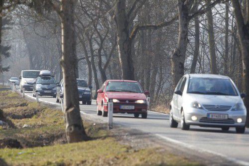 Die „kleine S 18“ durchs Lustenauer Ried wird bereits jetzt täglich von bis zu 10.000 Fahrzeugen befahren.  Foto: VN/Hartinger