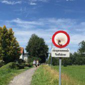 Mopedraser ärgern Harder Fußgänger