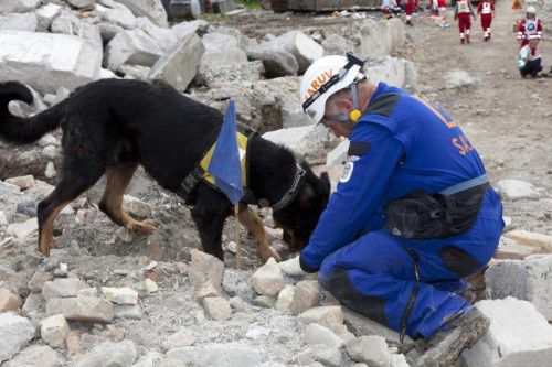 Das SARUV-Team Vorarlberg ist darauf spezialisiert, mithilfe von Suchhunden nach Gebäudeeinsturz verschüttete Personen zu orten.