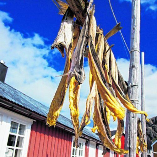 Die Fische werden an der salzhaltigen Luft getrocknet.