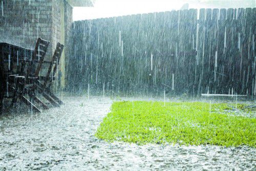 Die Versickerung von Regenwasser ist aus ökologischen Gründen begrüßenswert. Foto: Shutterstock
