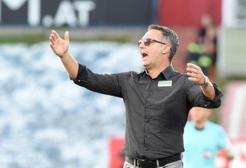 Für Damir Canadi gehören Emotionen zum Fußball.