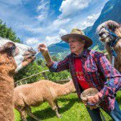 Auf Wandertour mit Lamas