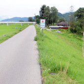 Rheindamm wird um sechs Meter breiter