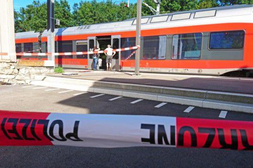 Kurz vor dem Bahnhof Salez hatte der junge Schweizer insgesamt sechs Passagiere angegriffen, darunter auch ein Kind.