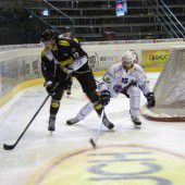 Bulldogs mit Steigerung