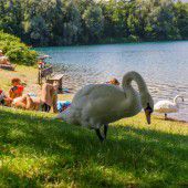 Bresner Baggerseen droht Sperre durch BH