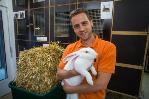 Tierpfleger Marco Milohnic mit Riesenkaninchen Lisa, das vor knapp fünf Wochen verletzt in Dornbirn gefunden wurde.